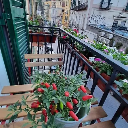 Palazzetto Di Neubourg * Naples