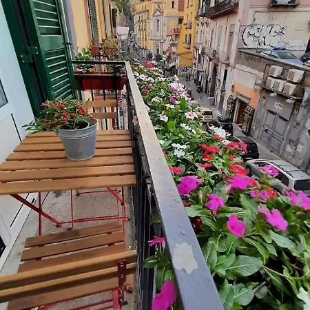 Palazzetto Di Neubourg *